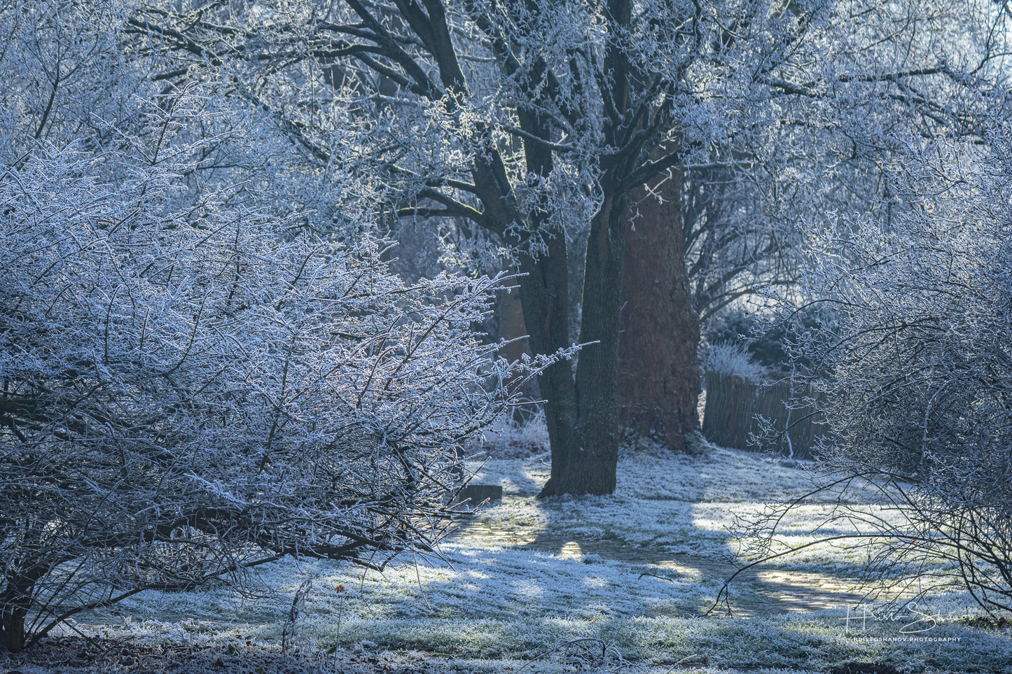 Gefrorene Natur