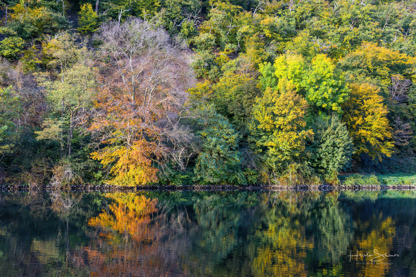 Herbstbäume am Fluss