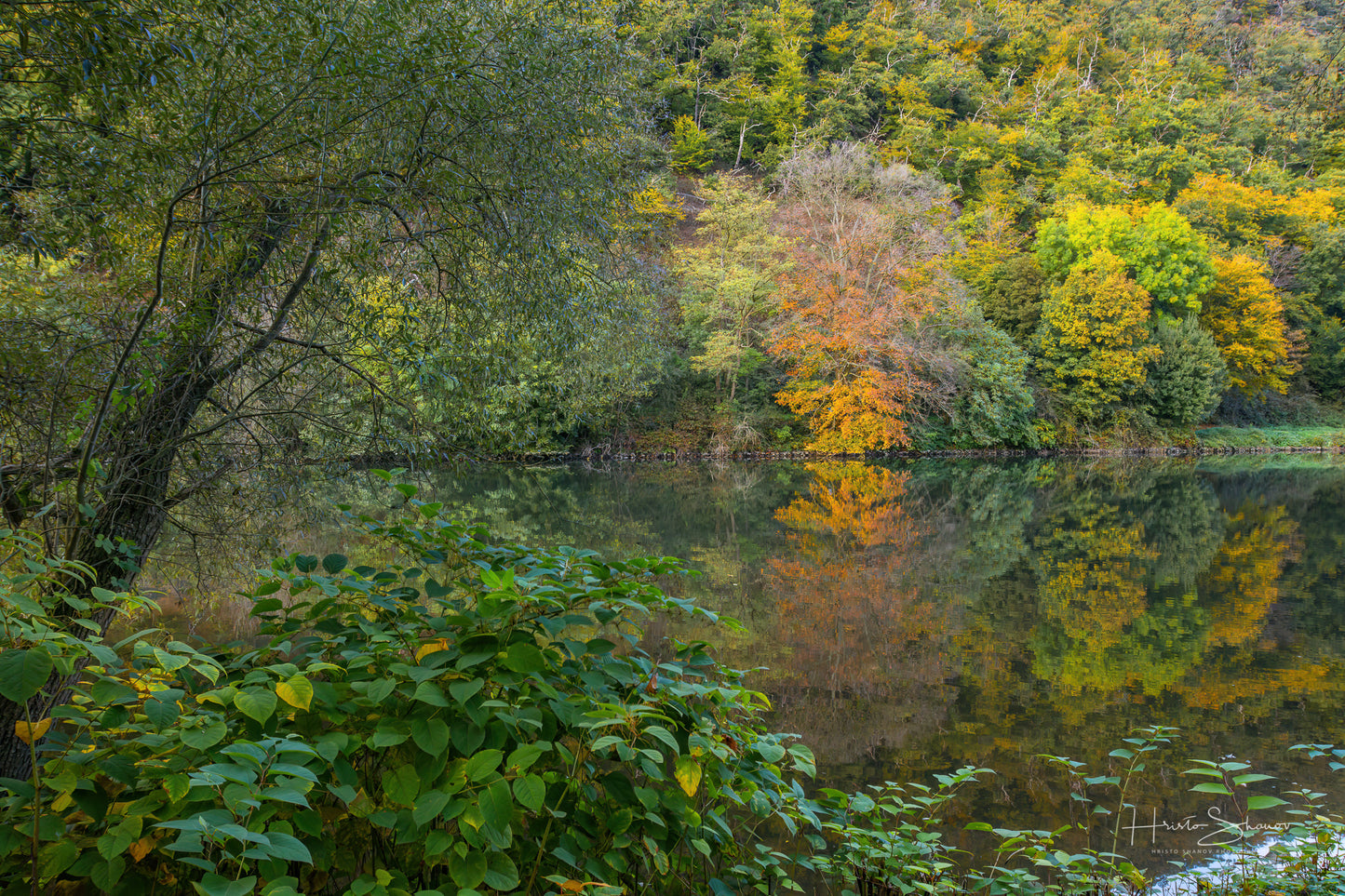 Herbstbäume am Fluss