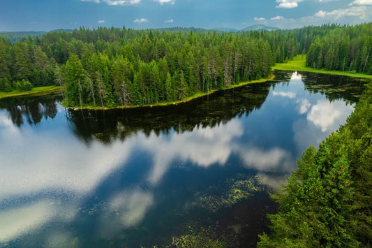 Discovering the Peace that Nature Has to Offer: A Trip to the Enchanting Lakes of Shiroka Polyana