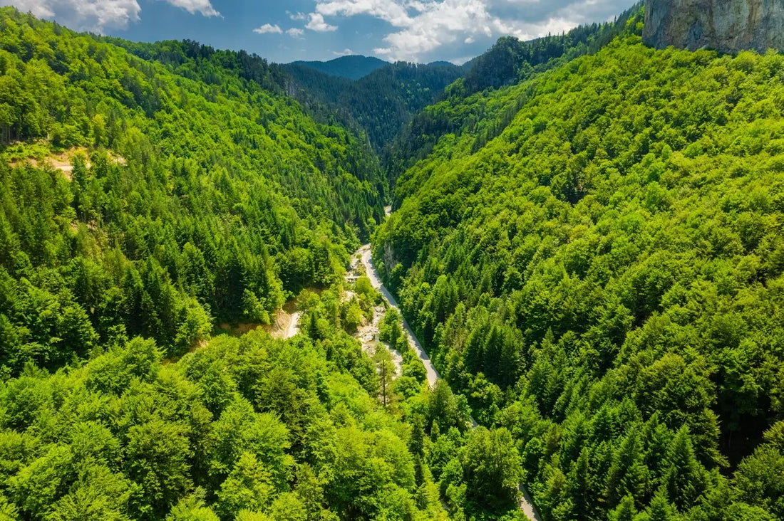 The Enchanting Trigrad Gorge in the Rhodope Mountains-Getting "Lost in the Majesty"