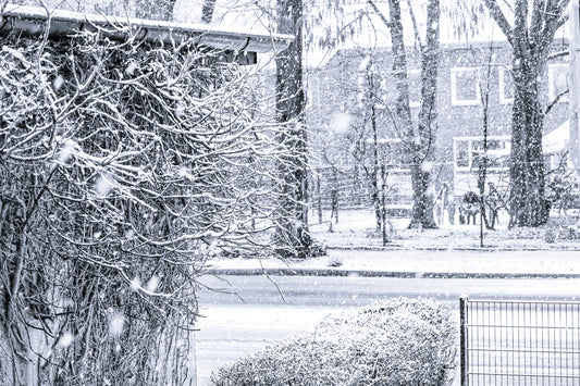 Snowy winter
