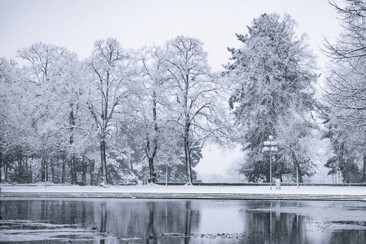 Snowy winter