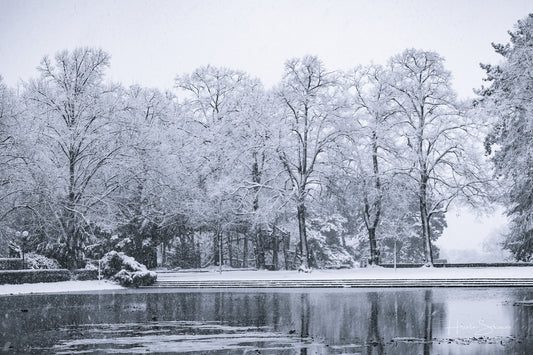 Snowy winter