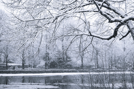 Snowy winter