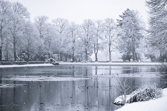 Snowy winter