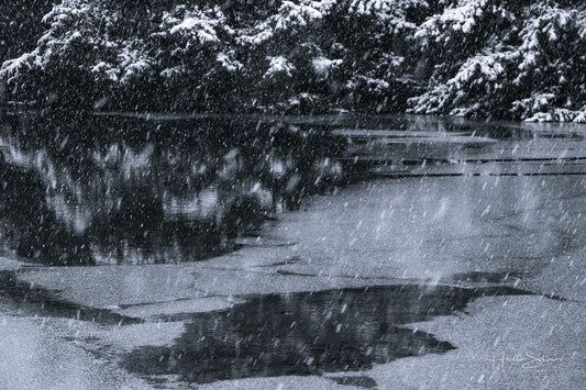 Snowy winter