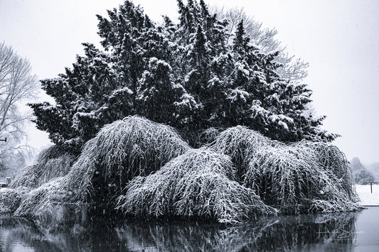 Snowy winter