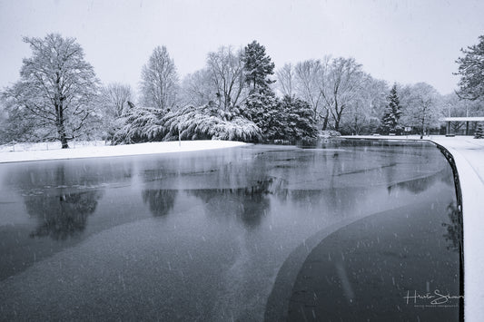 Snowy winter