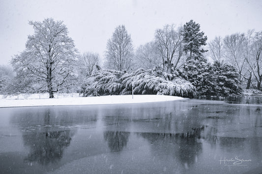 Snowy winter