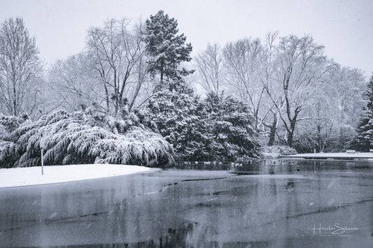 Snowy winter