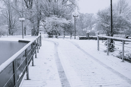 Snowy winter