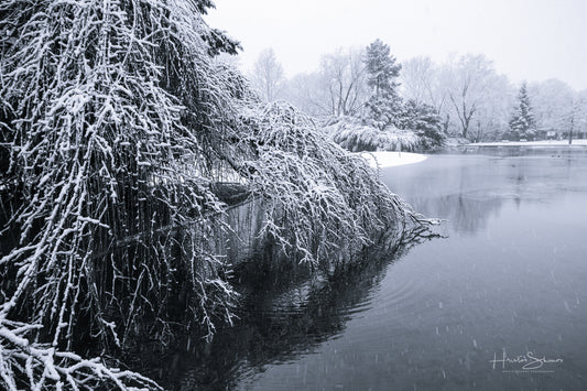 Snowy winter