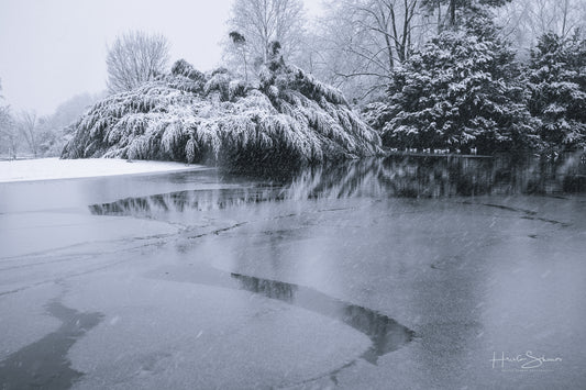 Snowy winter