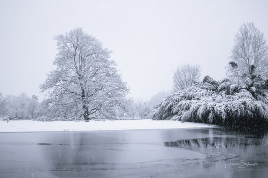 Snowy winter