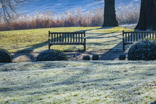 Frozen Nature