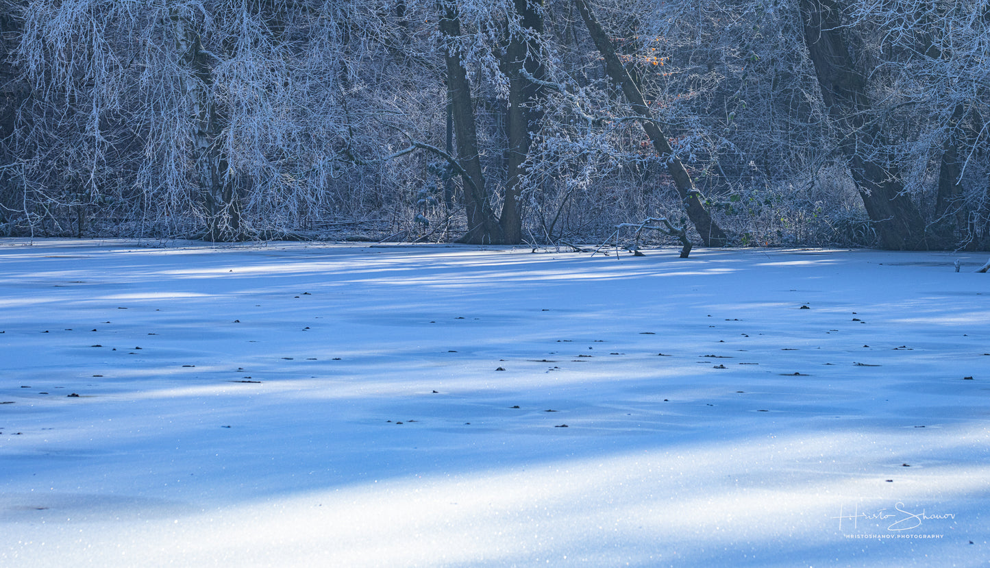 Frozen Nature