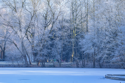 Frozen lake