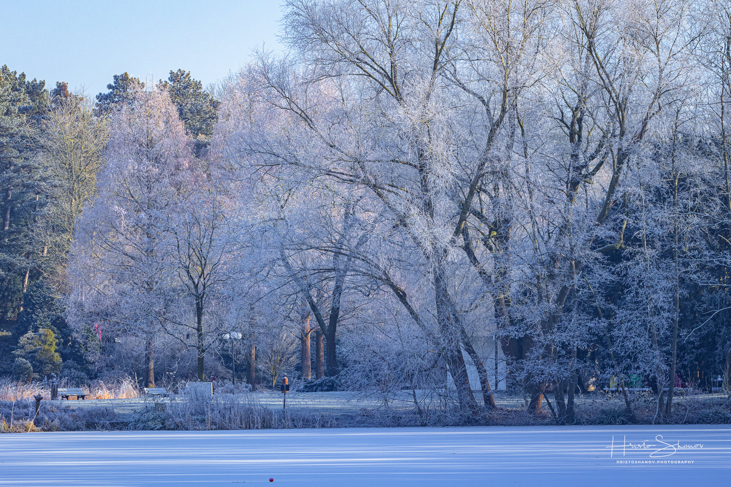 Frozen lake