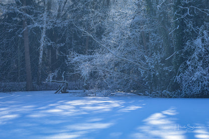 Frozen lake