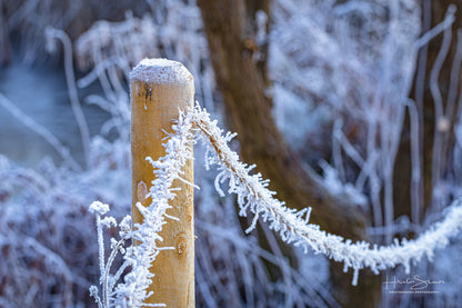 Frozen robe