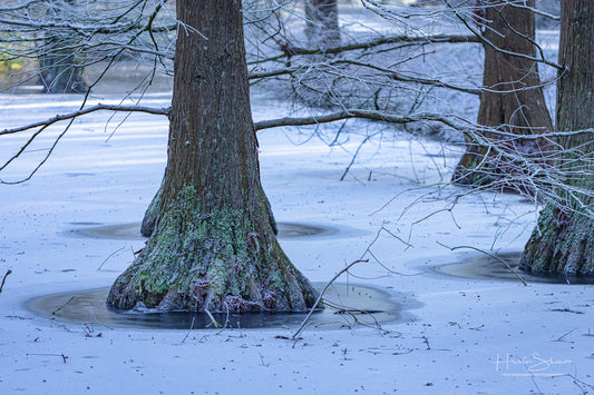 Frozen lake