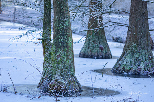 Frozen lake