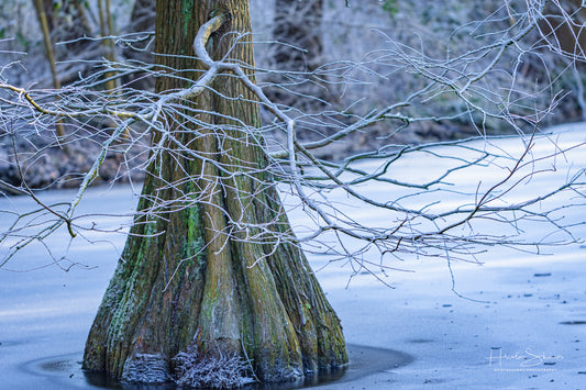 Frozen lake