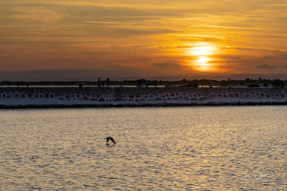 Sunset over sea coast