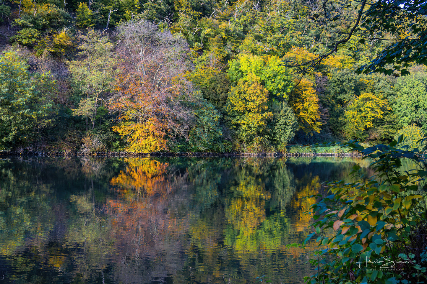 Autumn trees on river