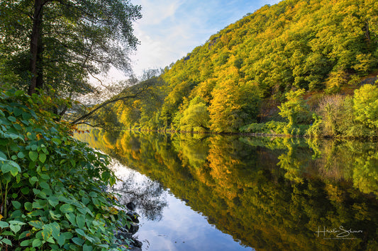 Autumn trees on river