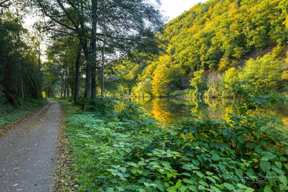 Autumn trees on river