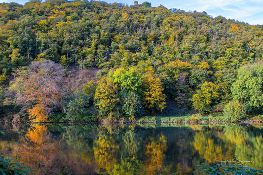 Autumn trees on river