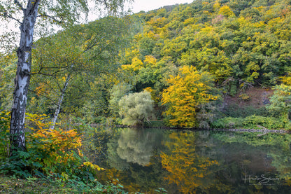 Autumn trees on river