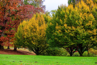 Autumn in park